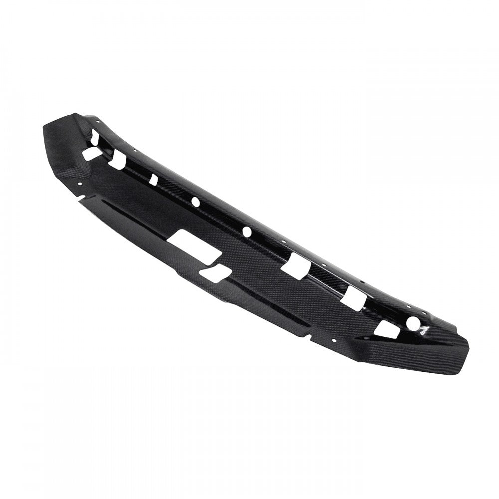 Seibon CP9901NSR34 Carbon fiber cooling plate for 1999-2001 Nissan Skyline R34