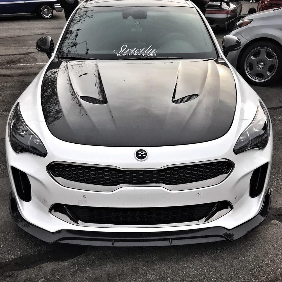 SBGT Kia Stinger Carbon Fiber Hood                shipping included