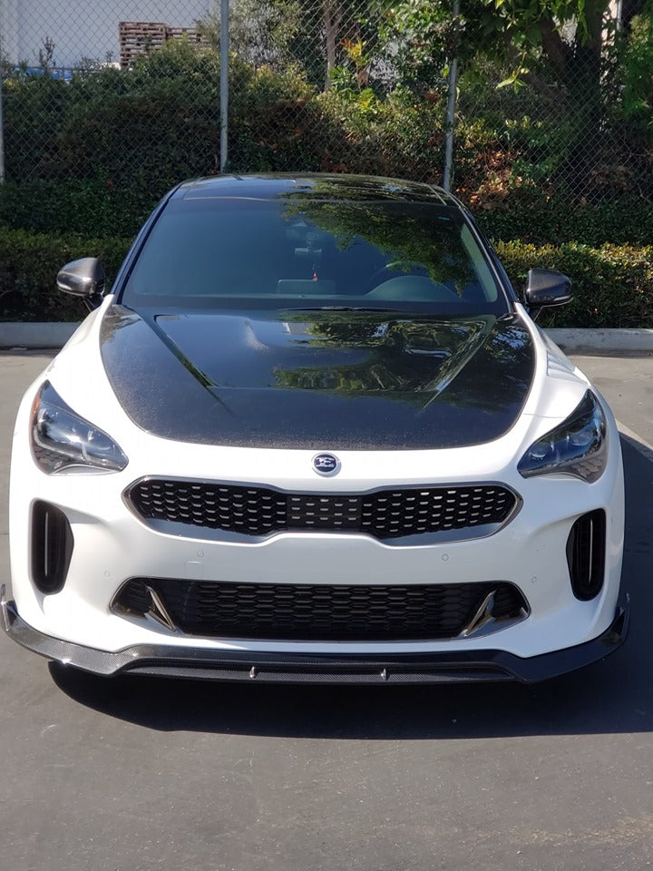 SBGT Kia Stinger GTS CF hood.    Shipping Included