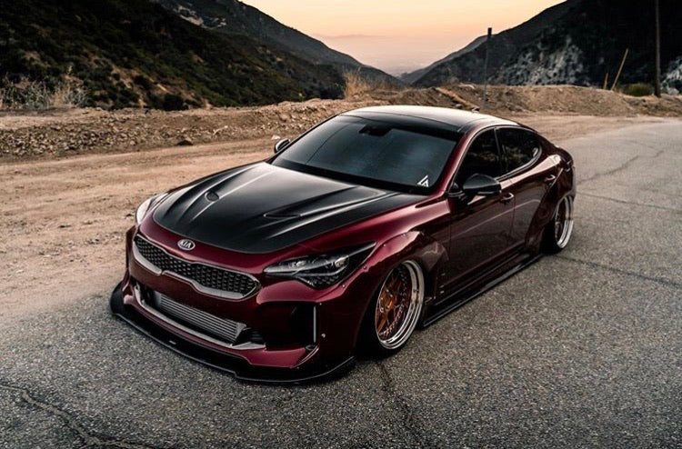 SBGT Kia Stinger Carbon Fiber Hood                shipping included