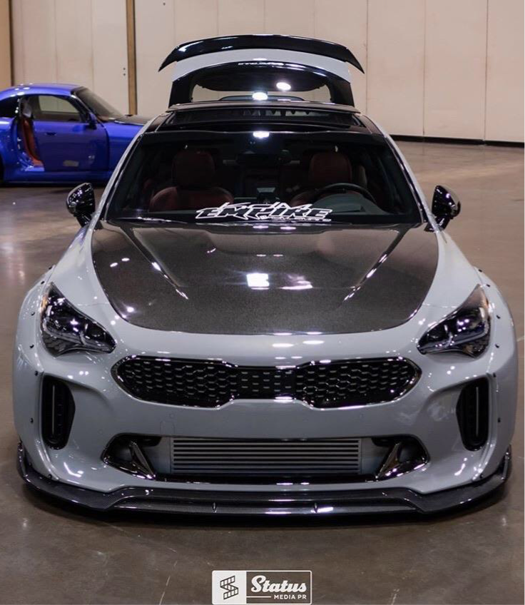 SBGT Kia Stinger GTS CF hood.    Shipping Included