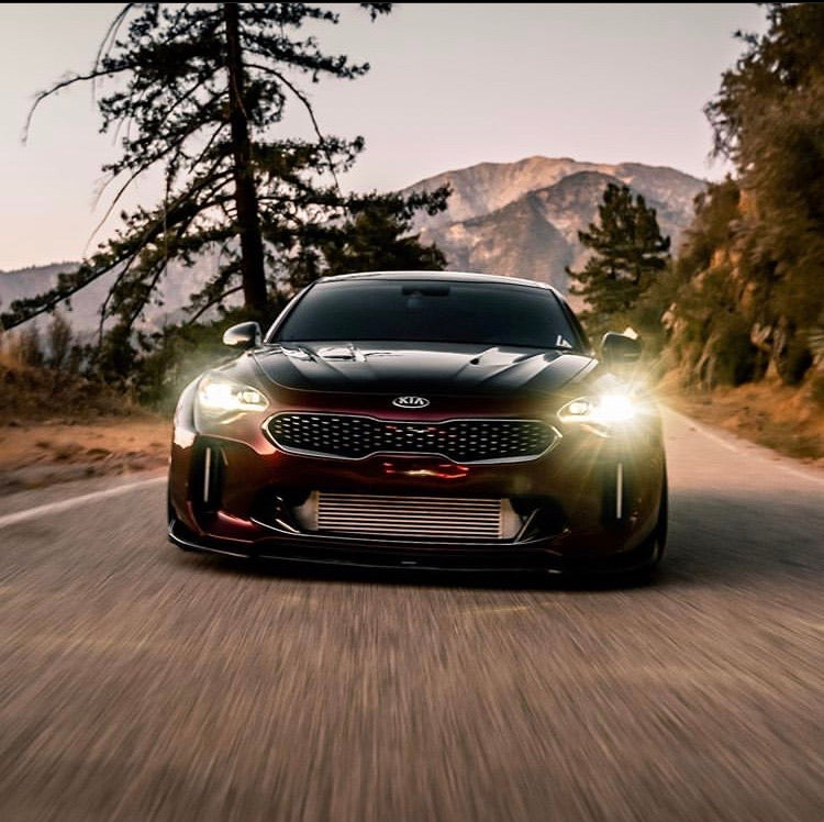 SBGT Kia Stinger Carbon Fiber Hood                shipping included