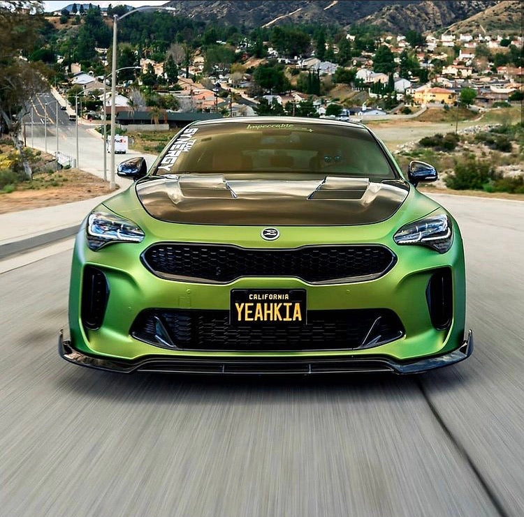 SBGT Kia Stinger Carbon Fiber Front Splitter    Shipping included