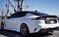 SBGT   Kia Stinger Carbon Fiber License Plate Garnish Shipping included