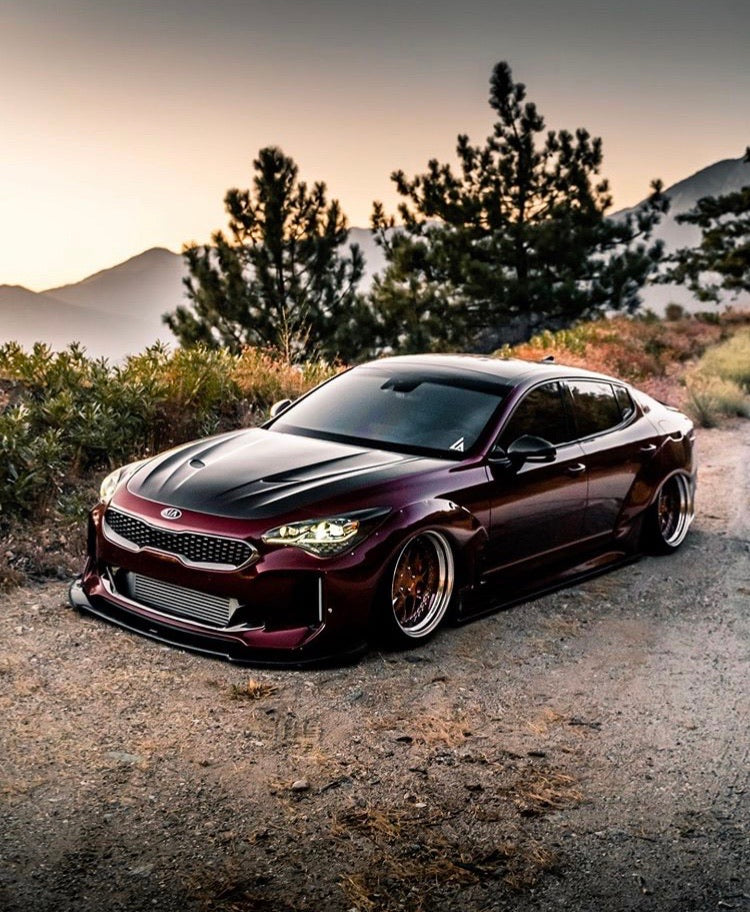 SBGT Kia Stinger Carbon Fiber Hood                shipping included