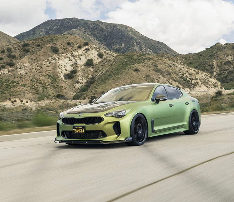 SBGT Kia Stinger Carbon Fiber Front Splitter    Shipping included